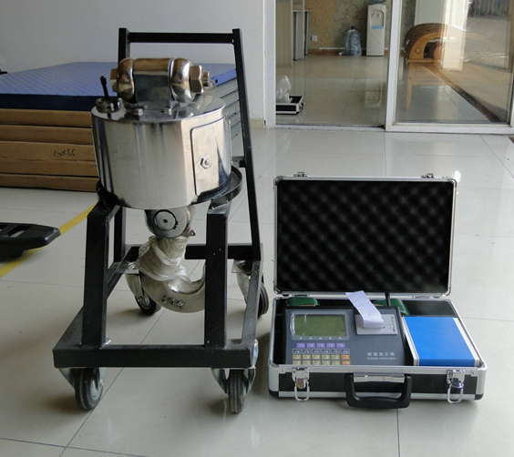 電子吊秤和微型打印機